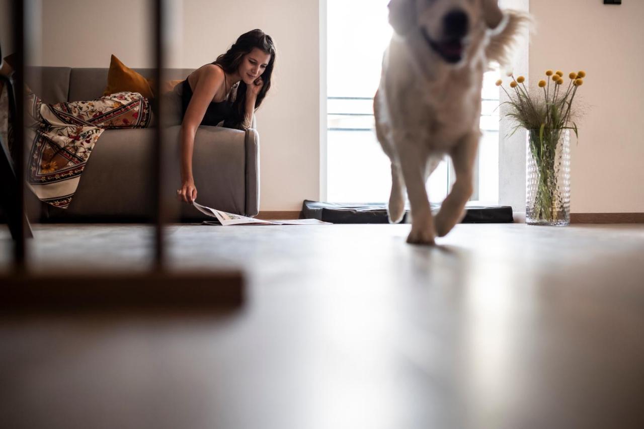 Sambucus Apartments -Premium Apartments For You And Your Dog Лана Екстер'єр фото