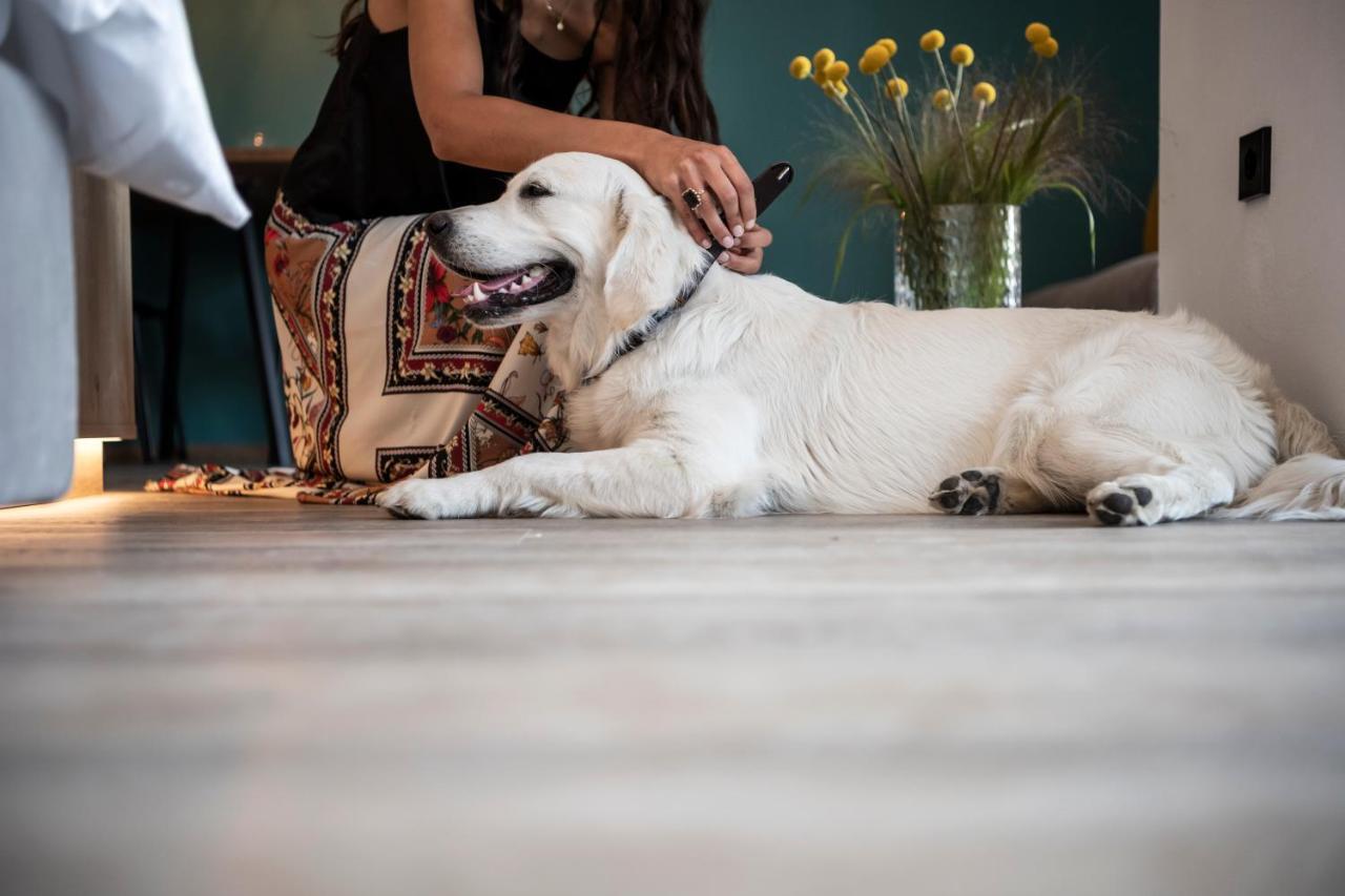 Sambucus Apartments -Premium Apartments For You And Your Dog Лана Екстер'єр фото